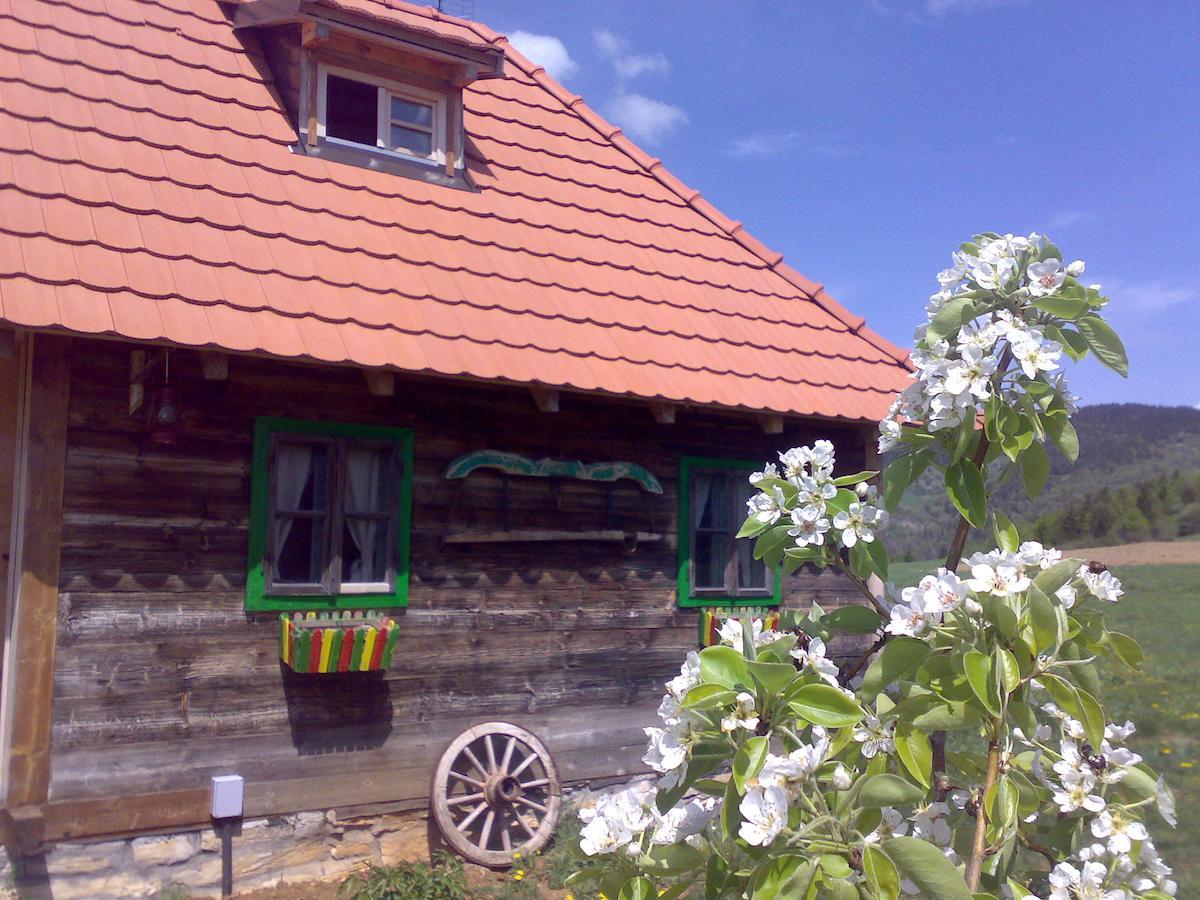 Apartments Sekler Rudno 部屋 写真